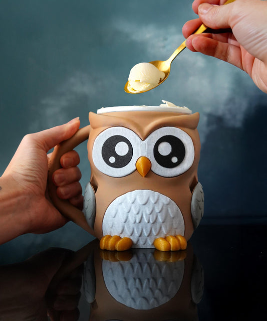 Owl Ice Cream Pint Holder | Owlfonso the Owl | Cute Ice Cream Cozy | Owl Kitchen Decor | Ice Cream Lover Gift