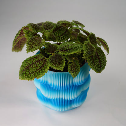 12cm Bubble Planter | Modern Minimalist Plant Pot | LeHa Designs | Cute Indoor Planter | Succulent & Houseplant Pot