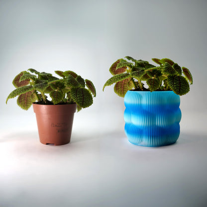 12cm Bubble Planter | Modern Minimalist Plant Pot | LeHa Designs | Cute Indoor Planter | Succulent & Houseplant Pot