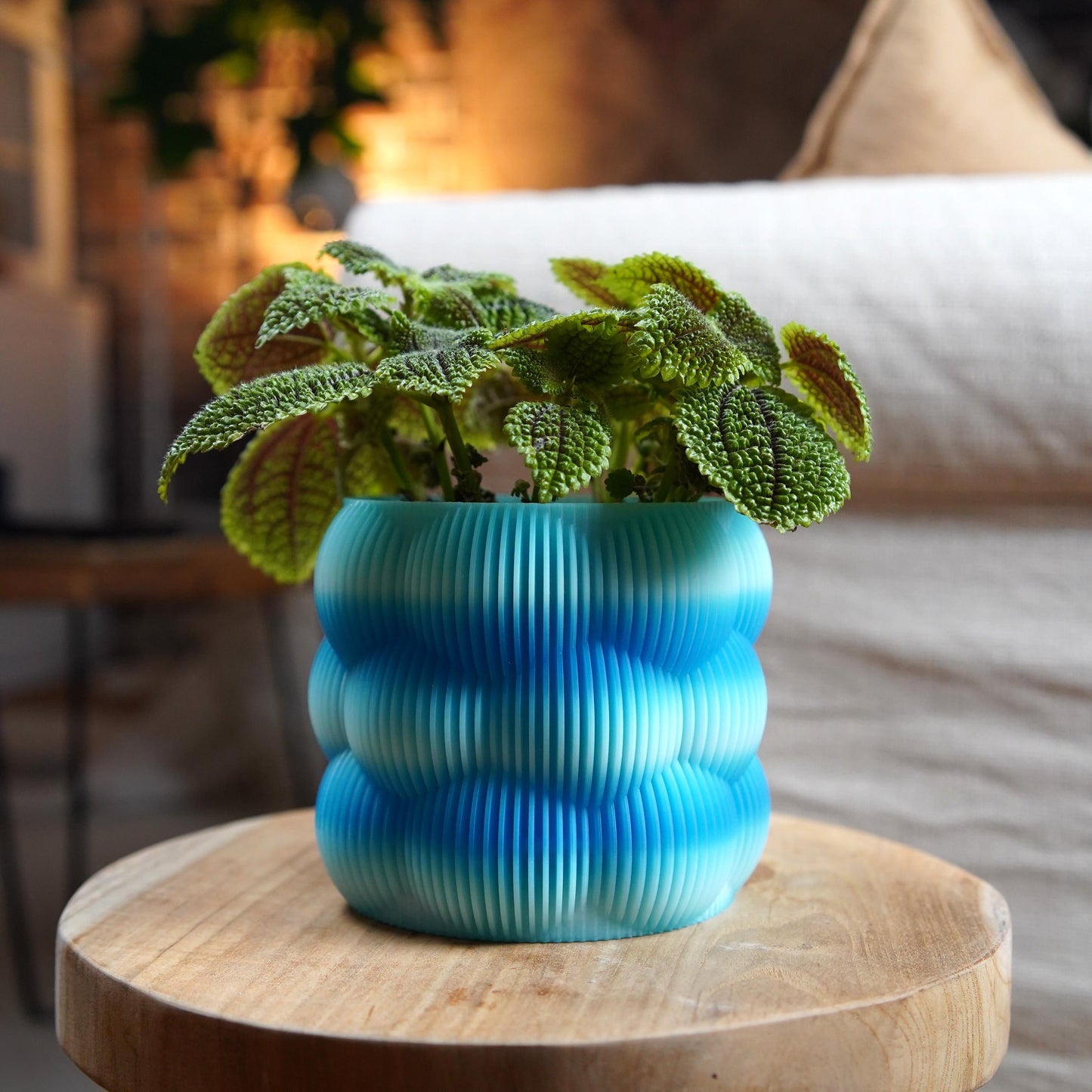 12cm Bubble Planter | Modern Minimalist Plant Pot | LeHa Designs | Cute Indoor Planter | Succulent & Houseplant Pot