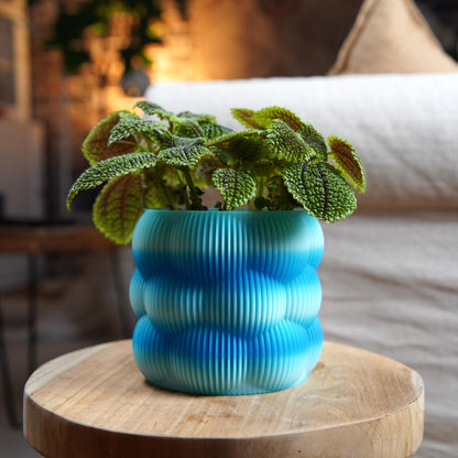 12cm Bubble Planter | Modern Minimalist Plant Pot | LeHa Designs | Cute Indoor Planter | Succulent & Houseplant Pot