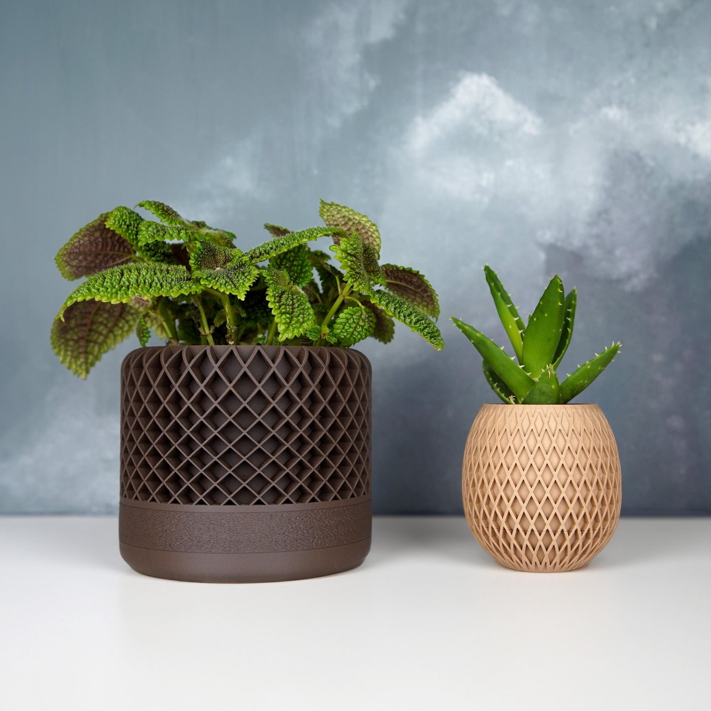 12cm Lattice Planter with Drainage | Modern Textured Plant Pot | LeHa Designs | Indoor Succulent & Houseplant Planter